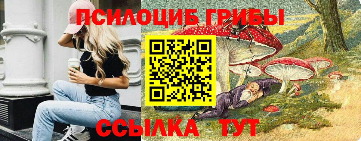 Псилоцибиновые грибы MAGIC MUSHROOMS Георгиевск